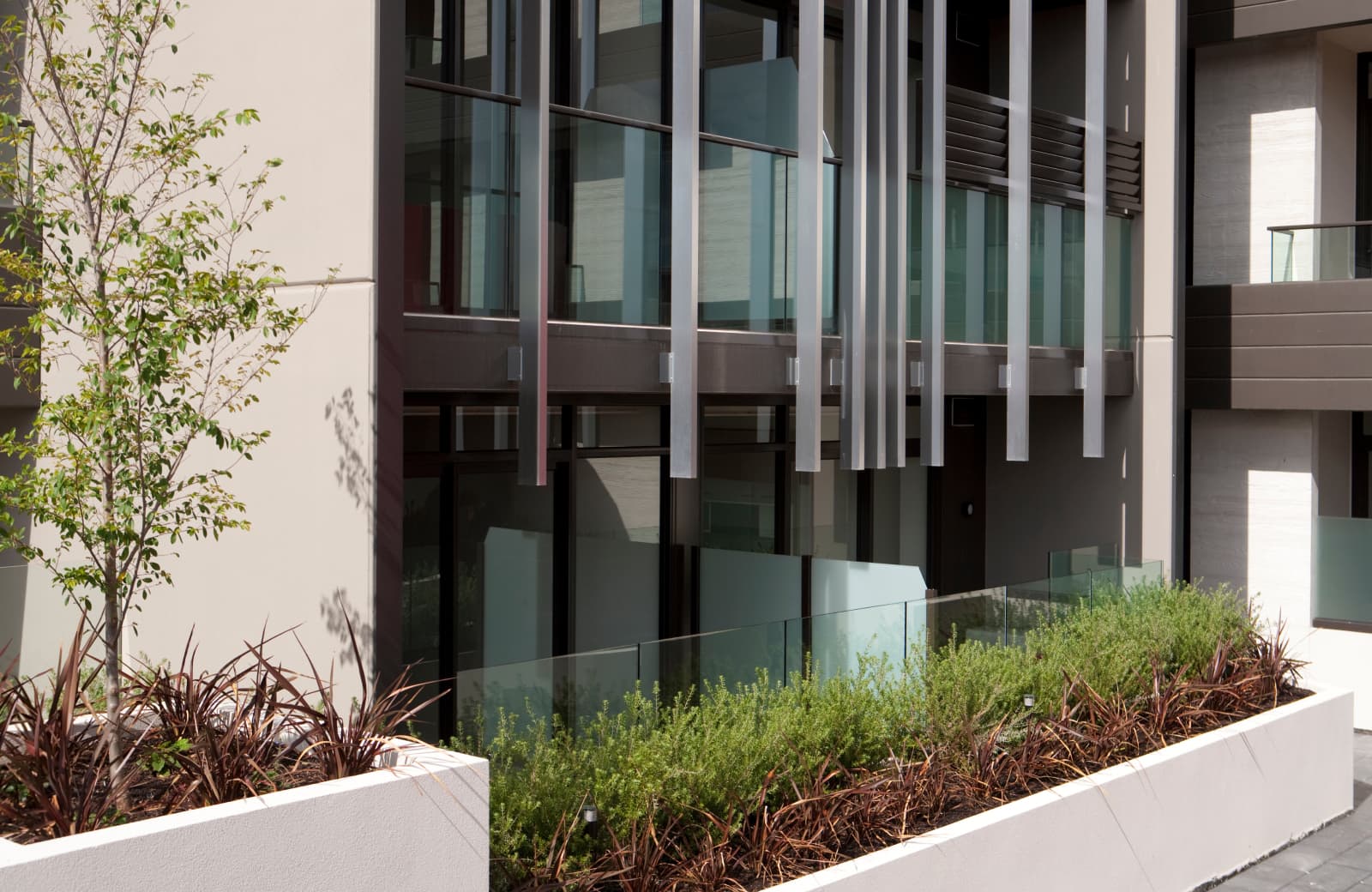 20 years of experience