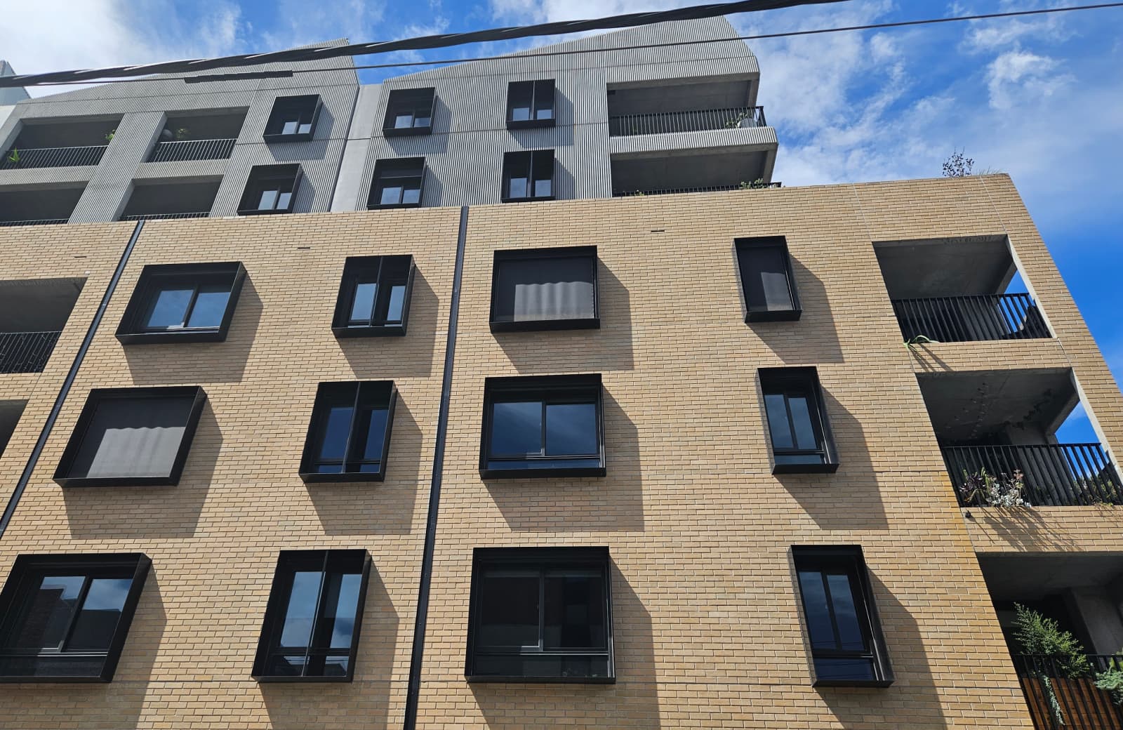 Surrounded by Experts